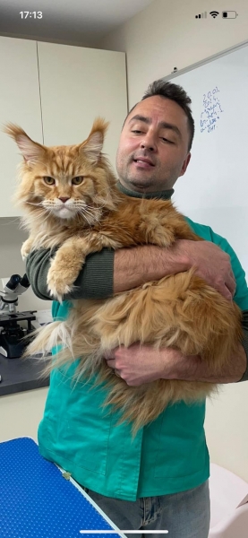 Cabinet veterinar Otopeni - Cabinet veterinar Dr. Stefan